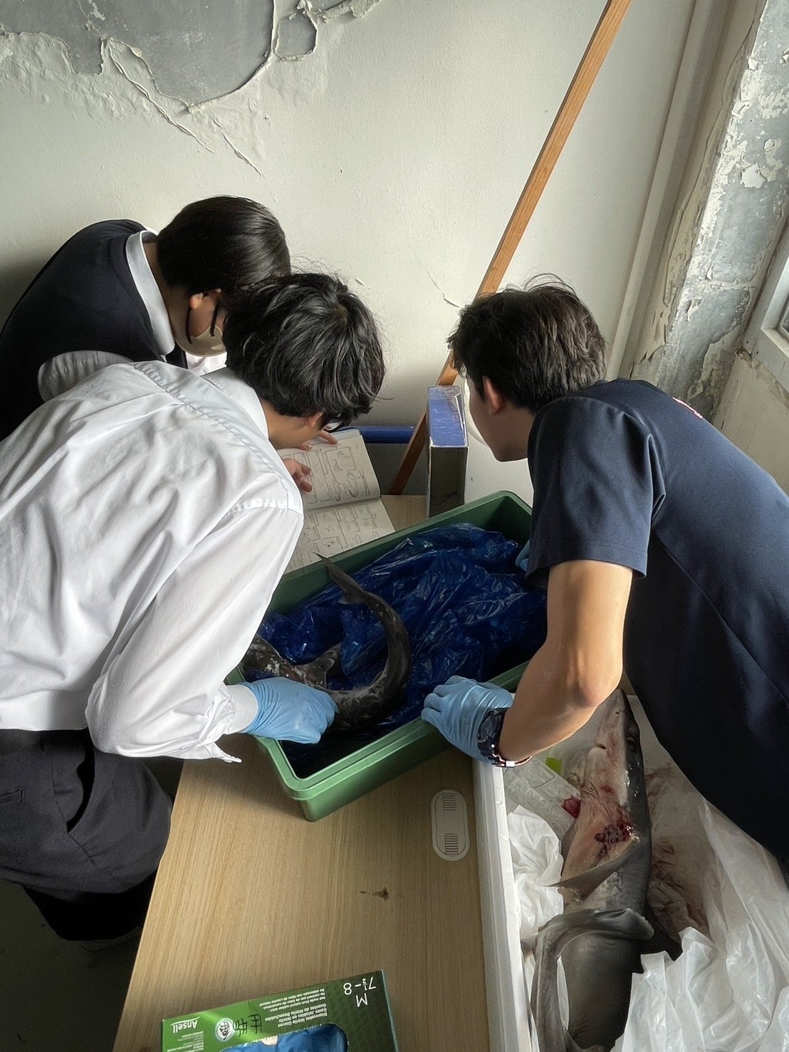 Image - 2025-12-01T173119.259